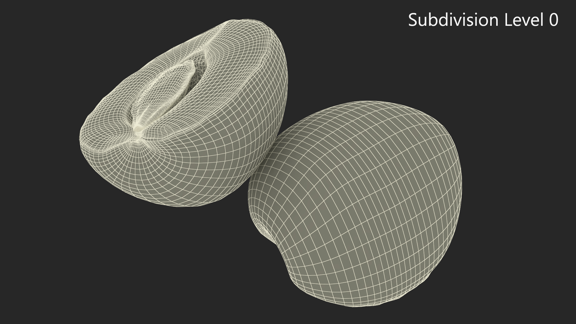 3D Half Apricot with Fruit Core model