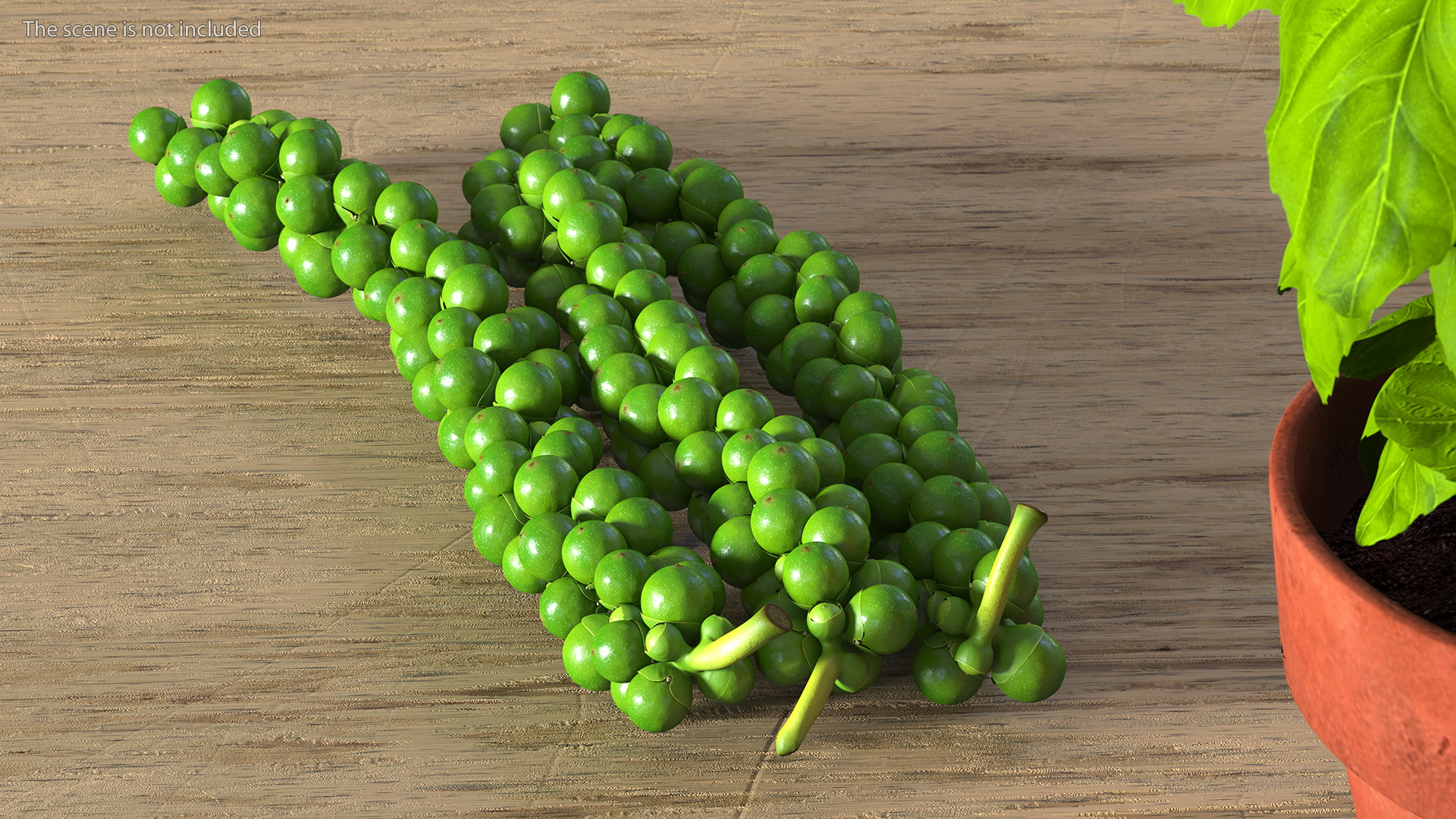 3D Fresh Peppercorn