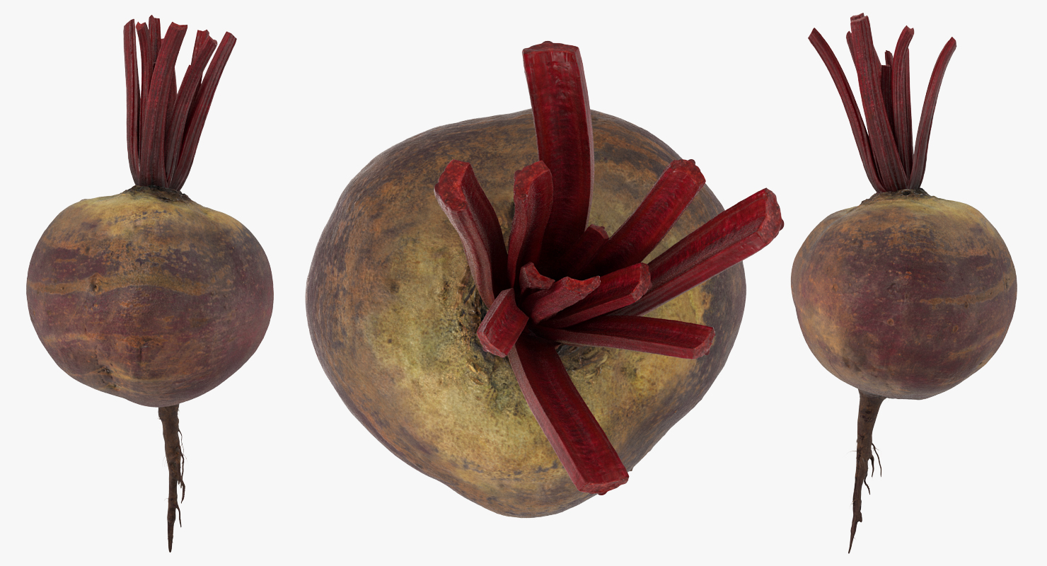 3D model Beetroot