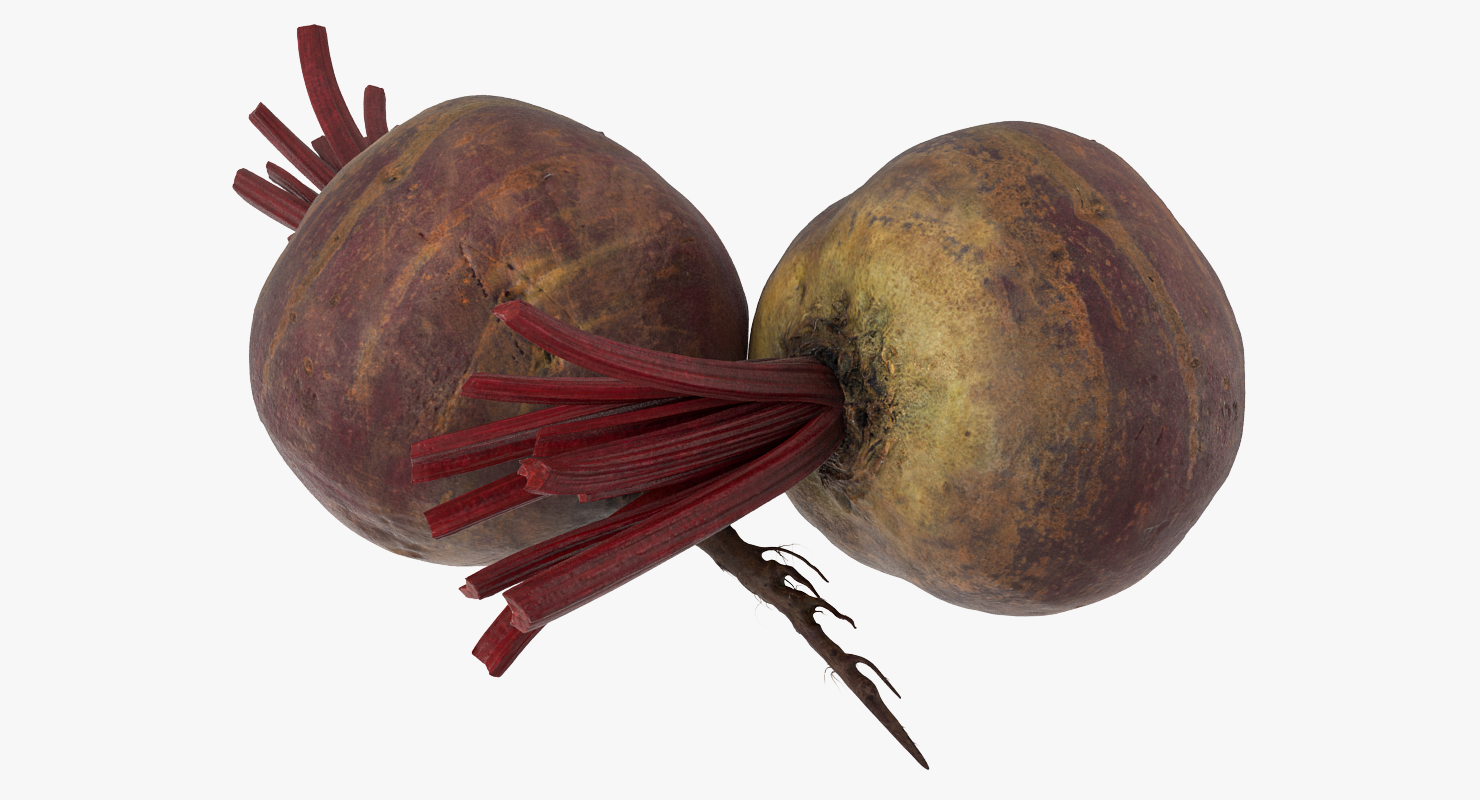 3D model Beetroot