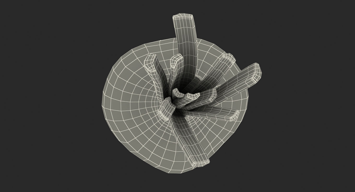 3D model Beetroot