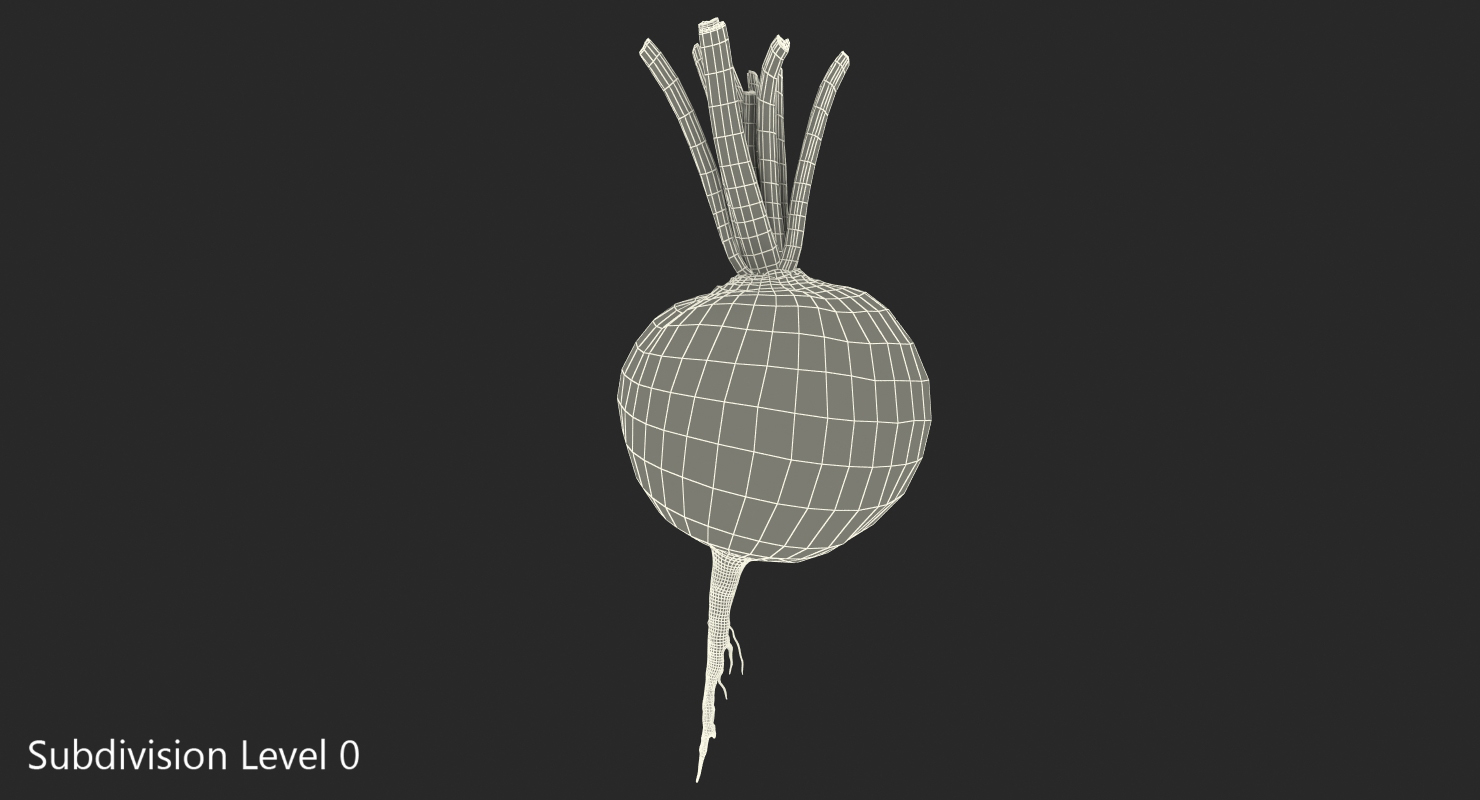 3D model Beetroot