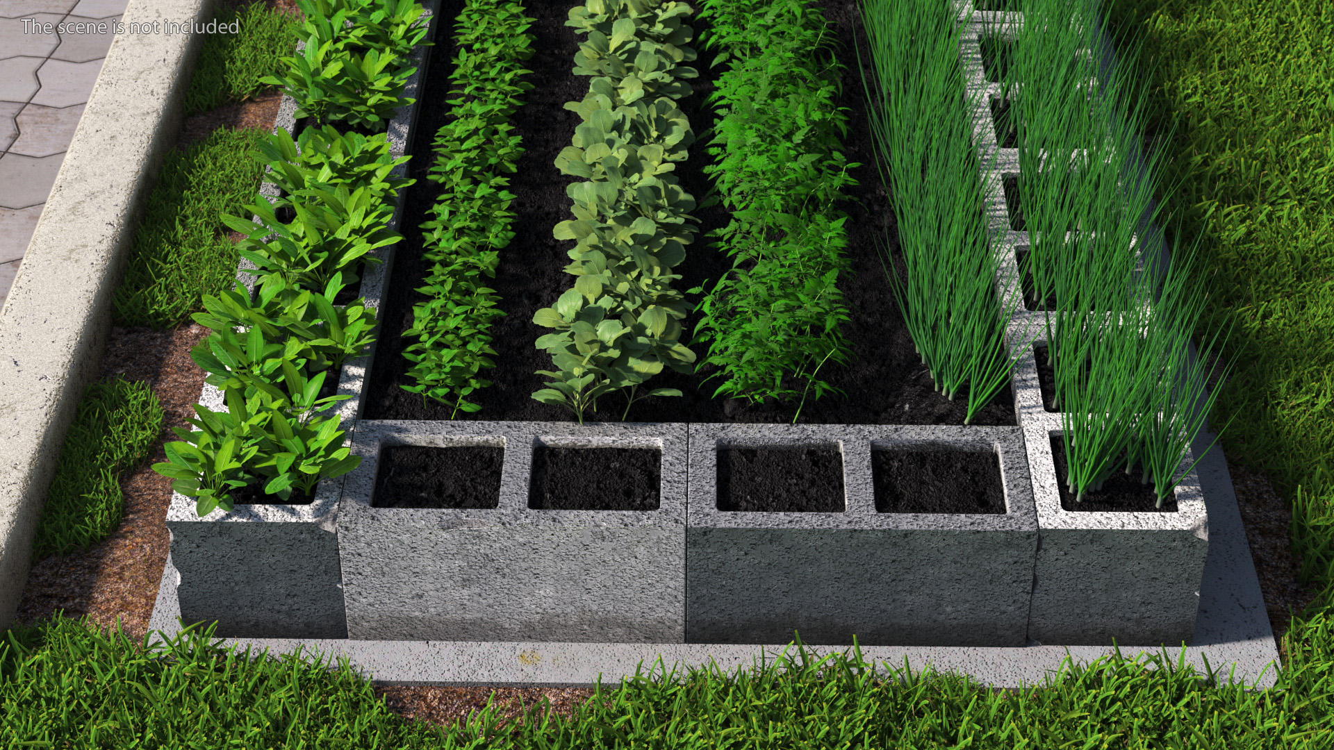 Raised Garden Bed with Various Plants 3D