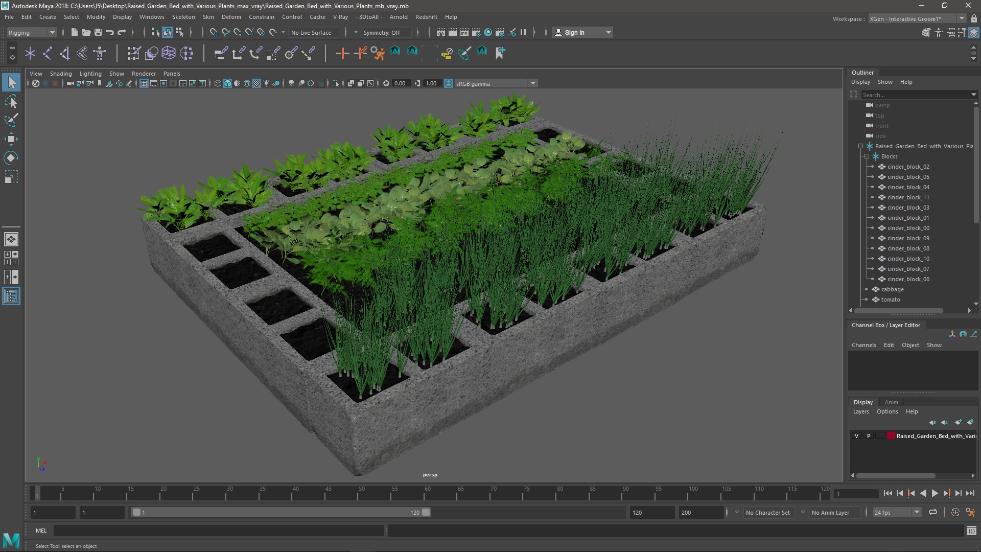 Raised Garden Bed with Various Plants 3D