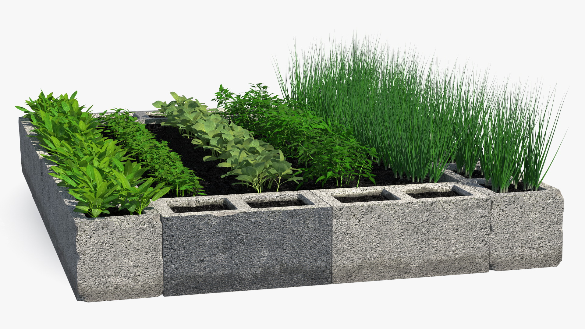 Raised Garden Bed with Various Plants 3D