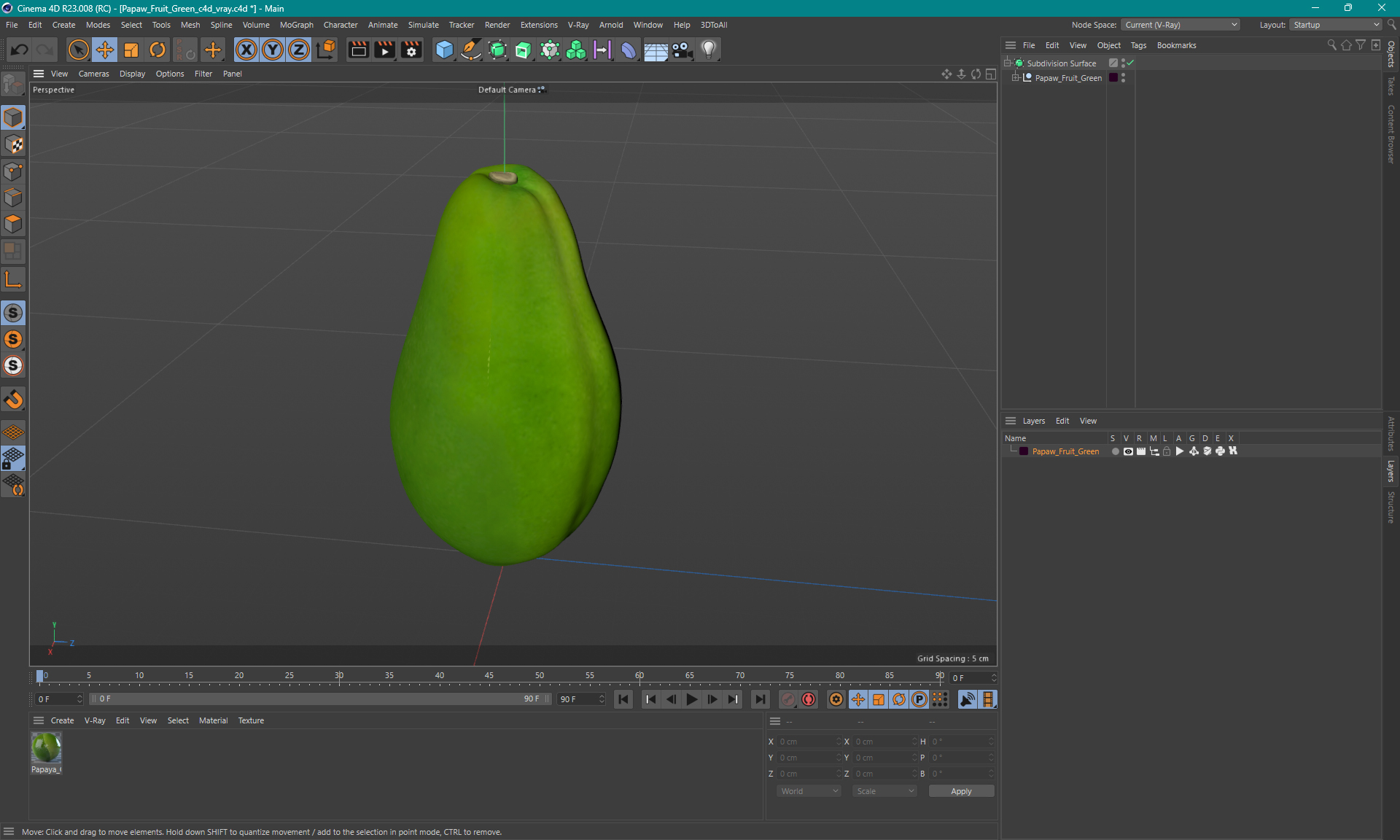 Papaw Fruit Green 3D