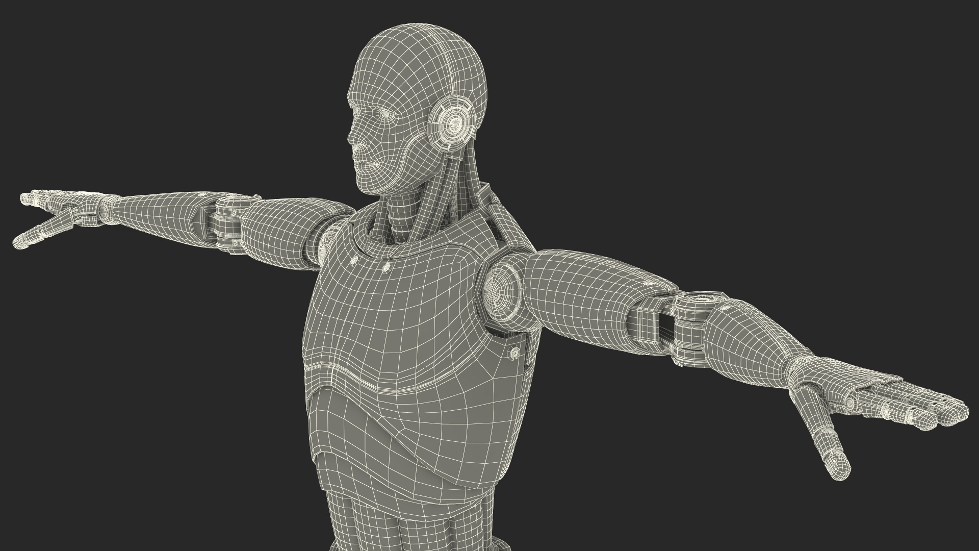 3D Male Cyborg Rigged model