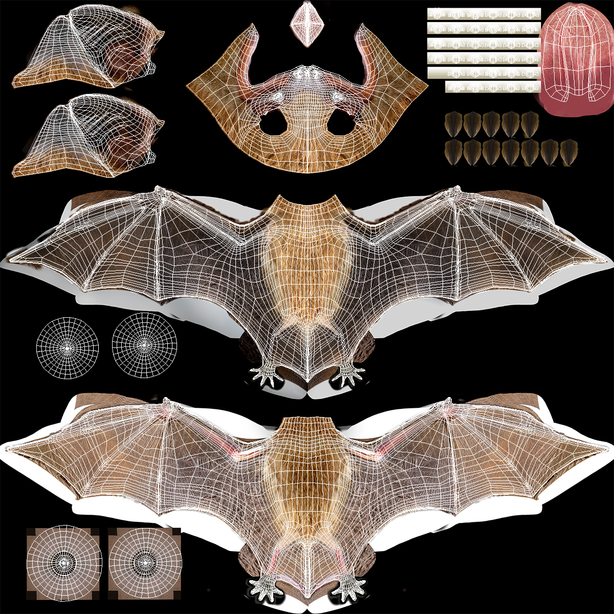 3D Hanging Bat