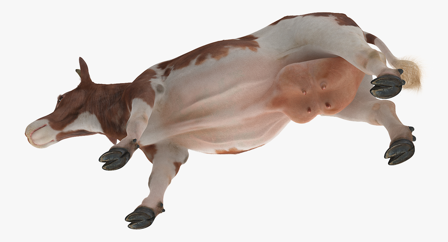 Cow with Fur 3D