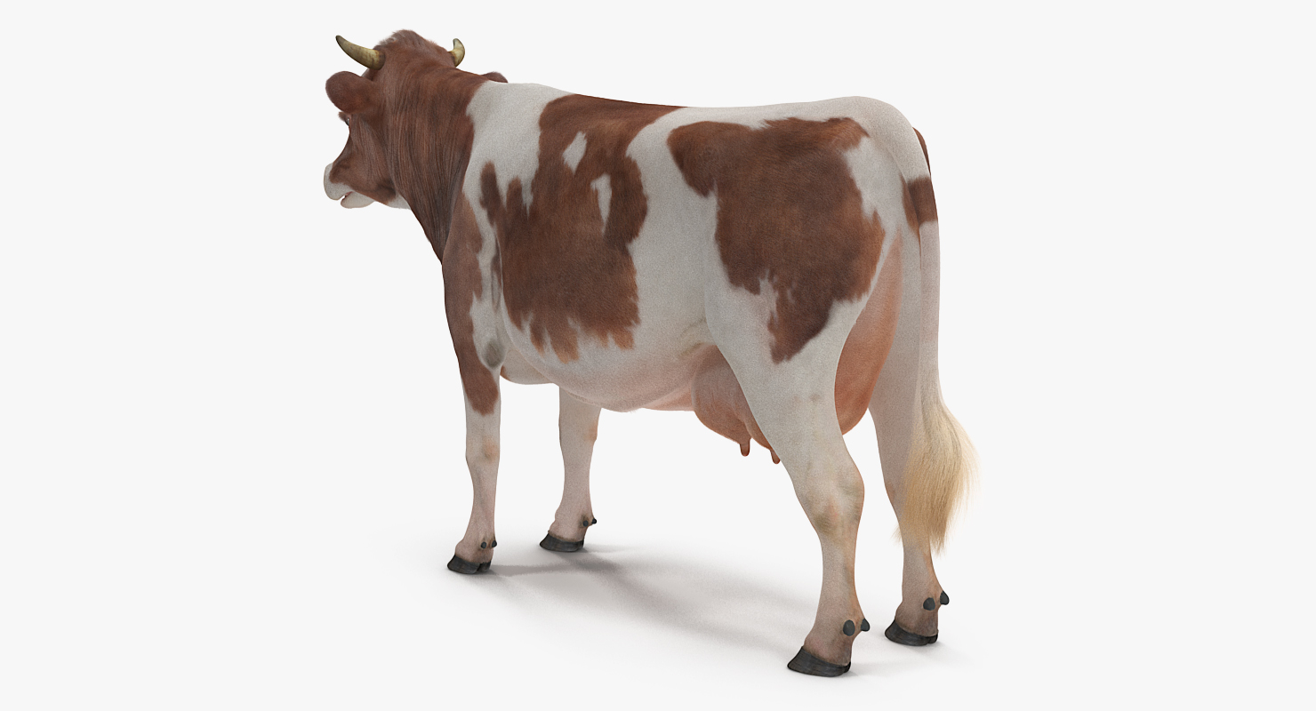 Cow with Fur 3D