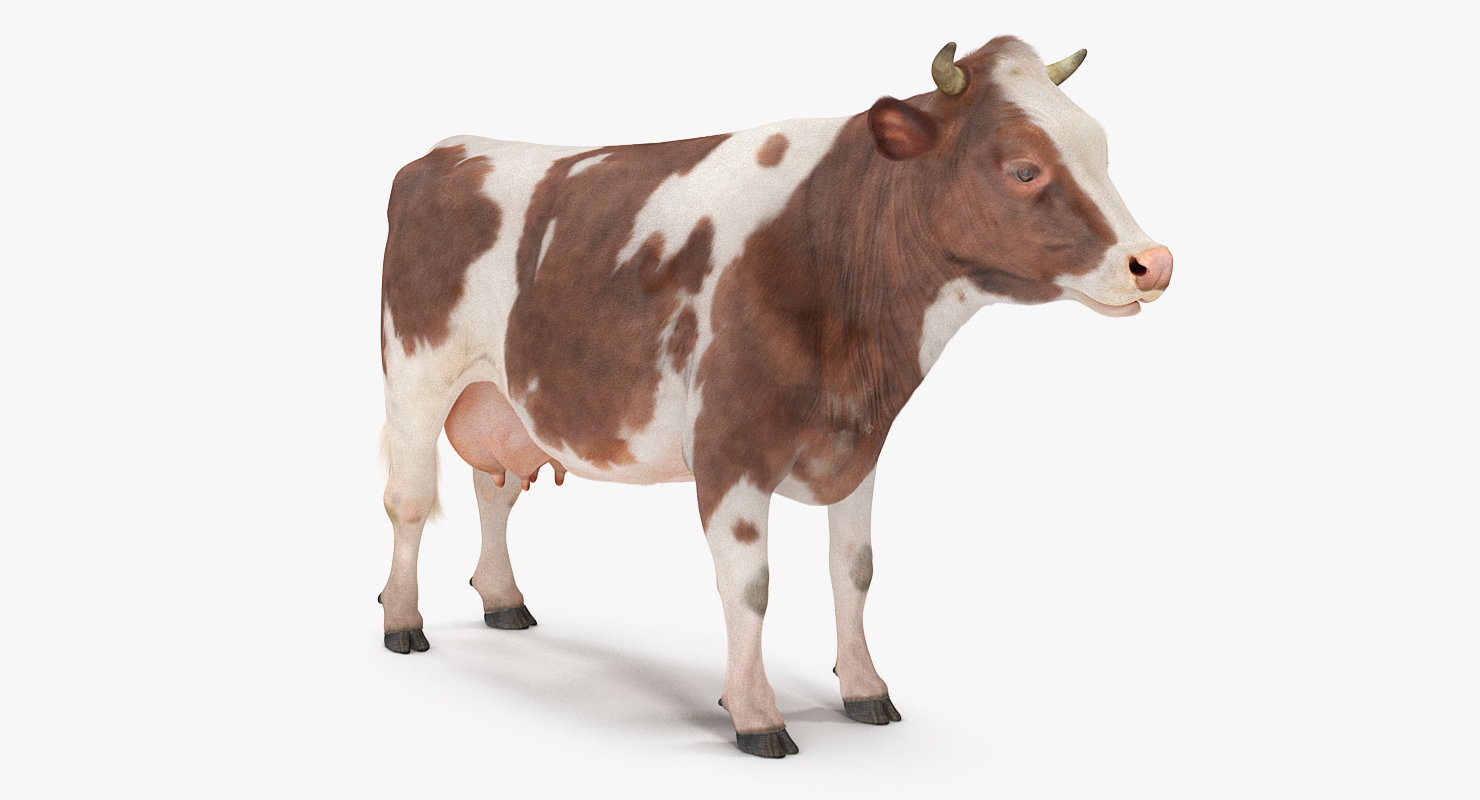 Cow with Fur 3D