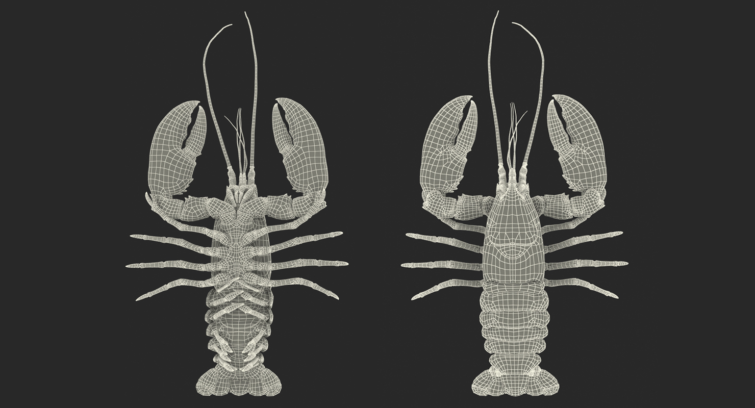 Lobster 3D model