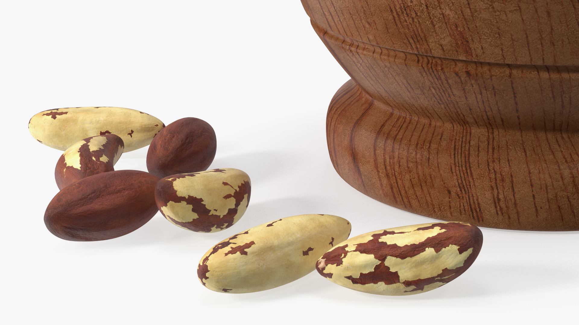 3D Mortar and Pestle Grinding Brazil Nuts model