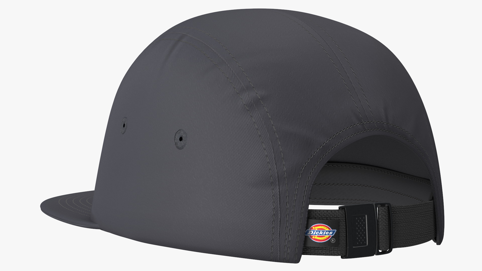 Dickies Albertville 5 Panel Cap Black 3D