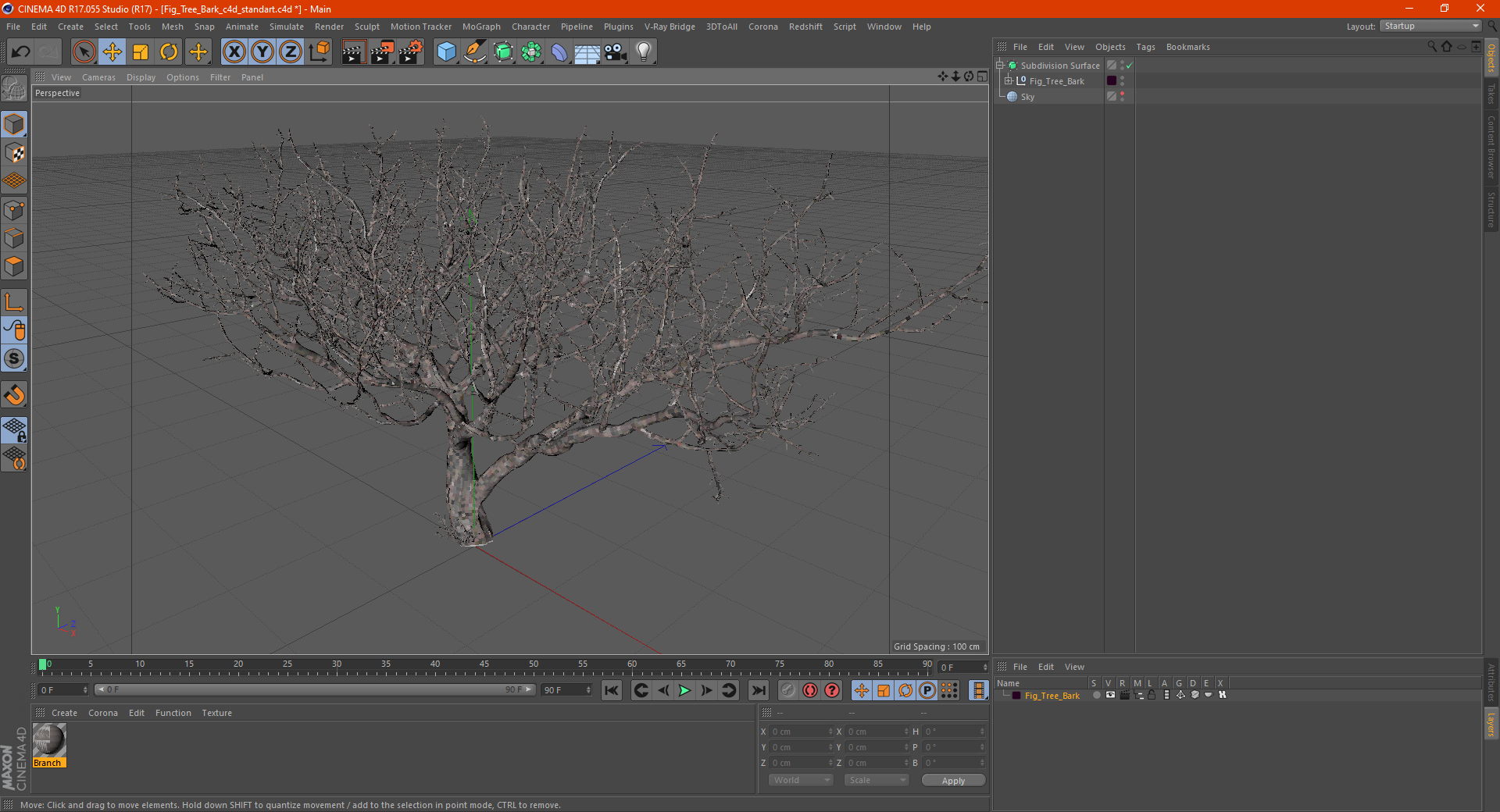 3D Fig Tree Bark model