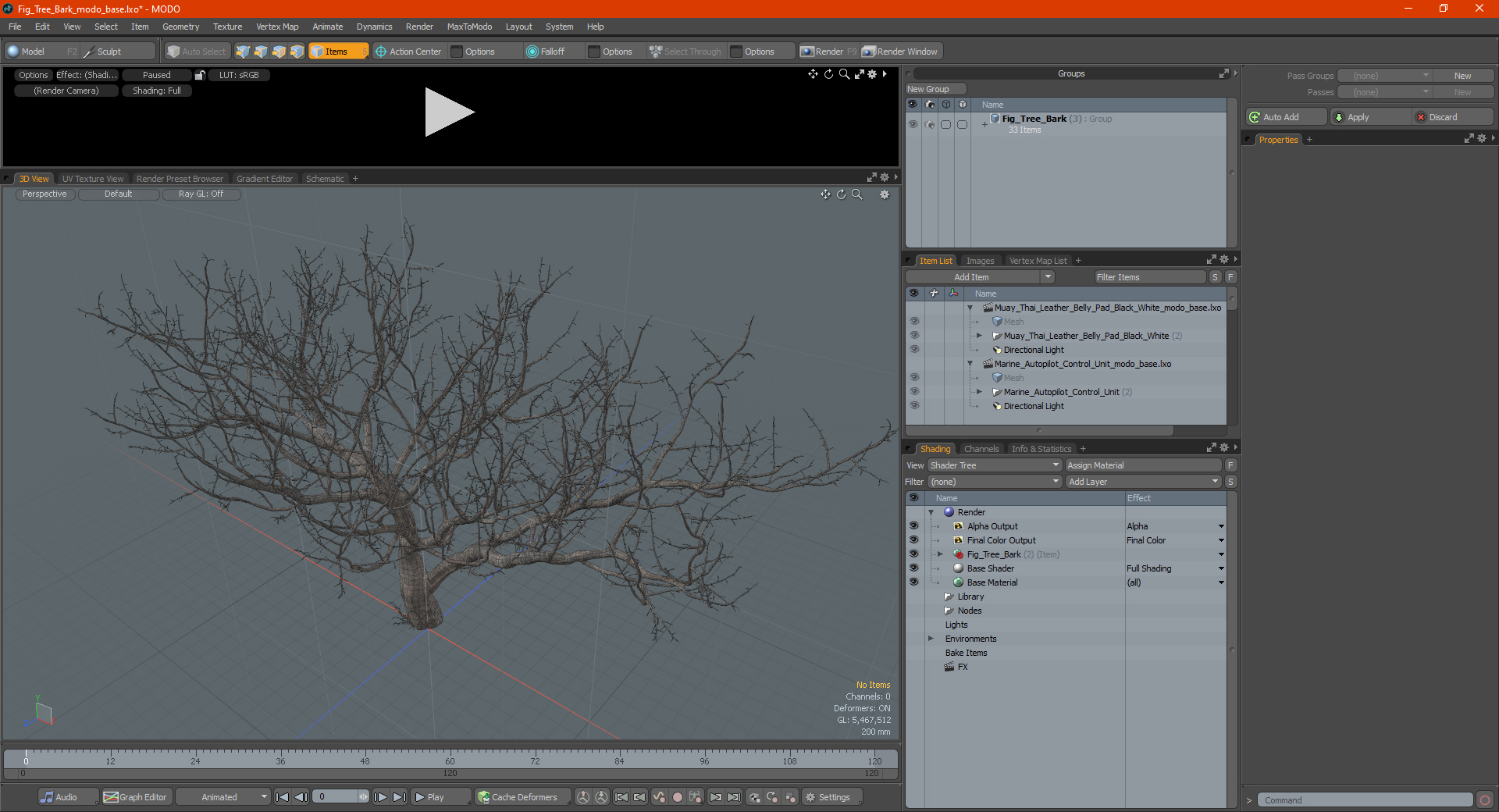 3D Fig Tree Bark model