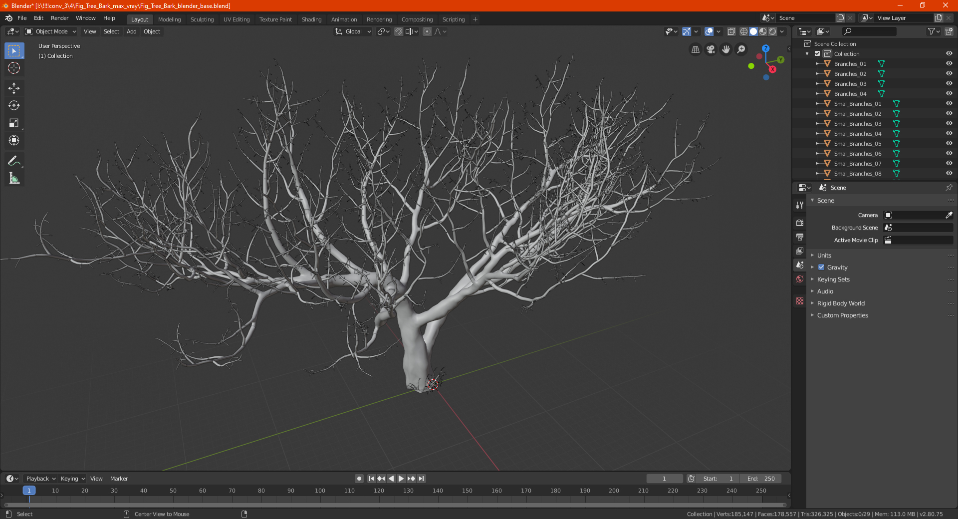 3D Fig Tree Bark model