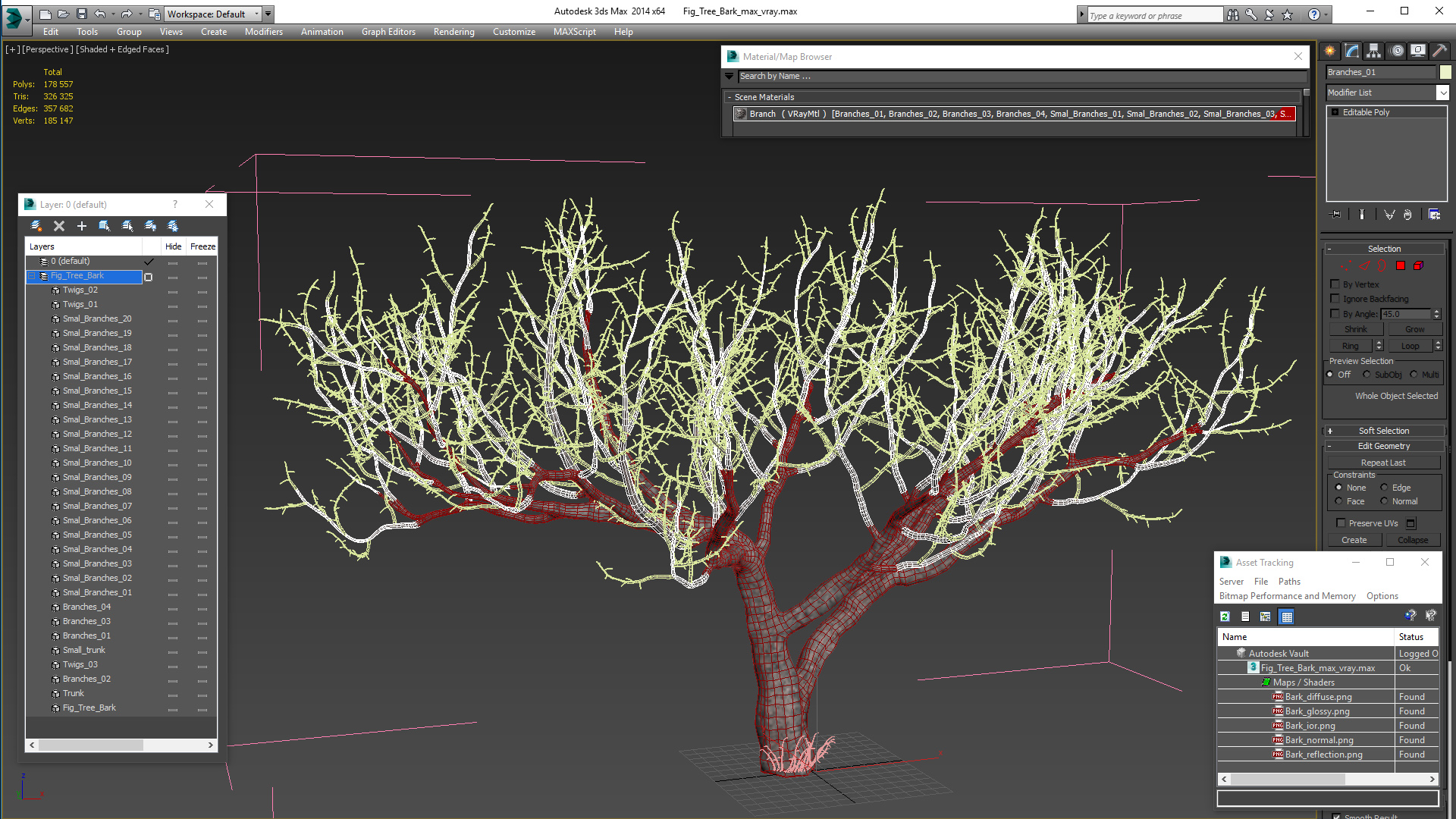 3D Fig Tree Bark model