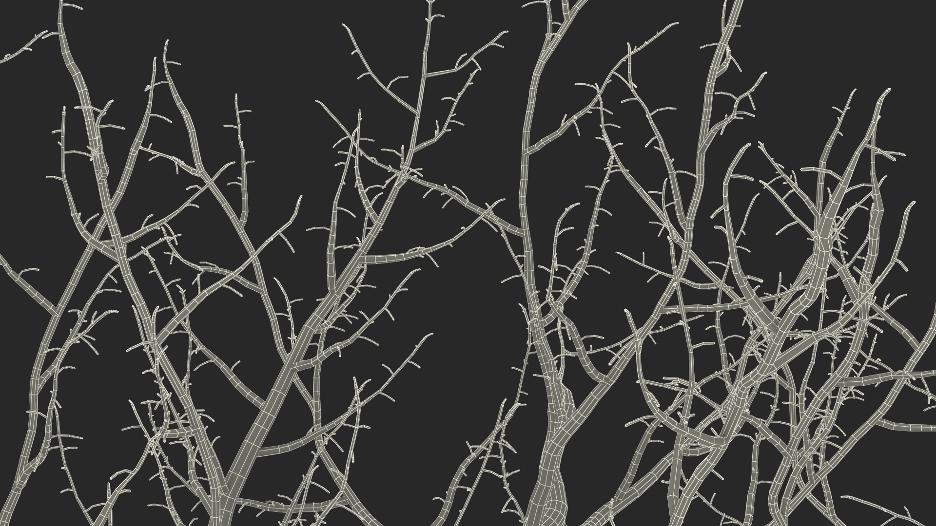 3D Fig Tree Bark model