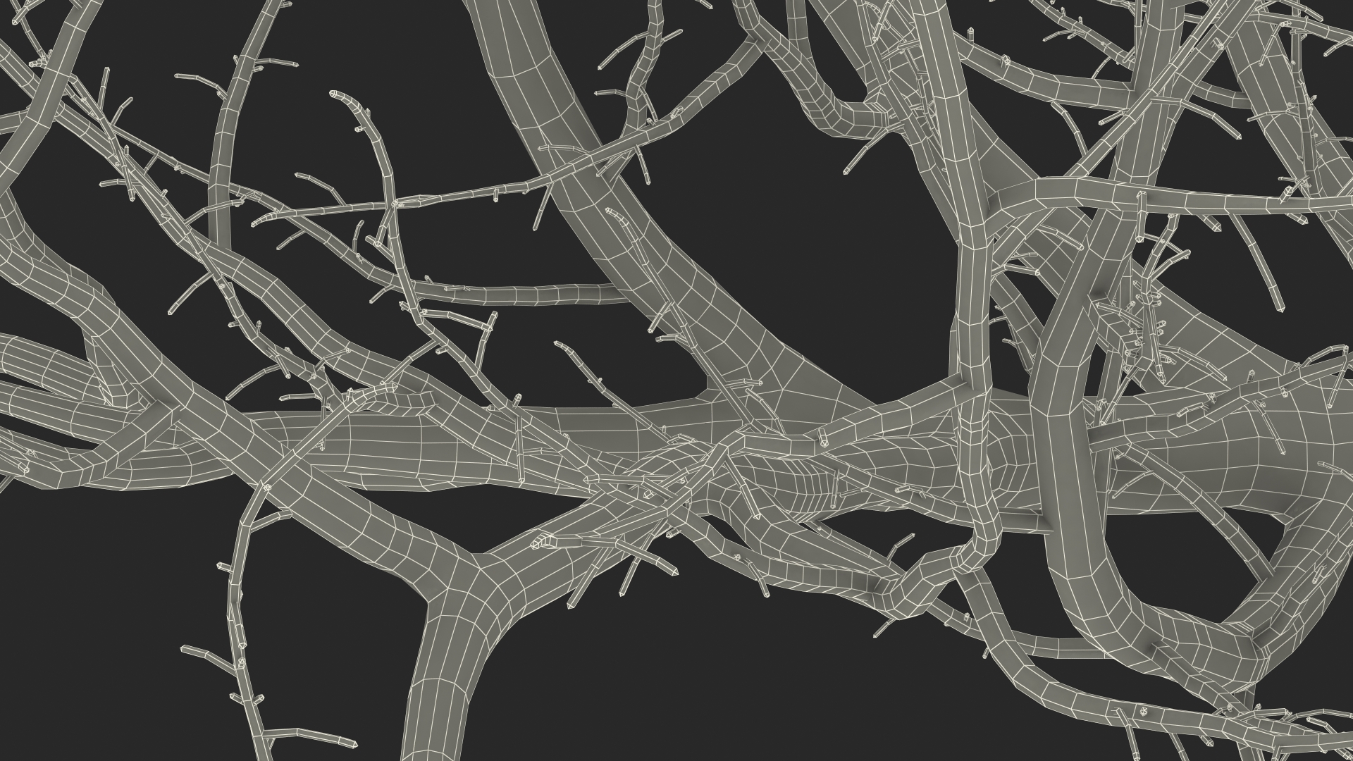 3D Fig Tree Bark model