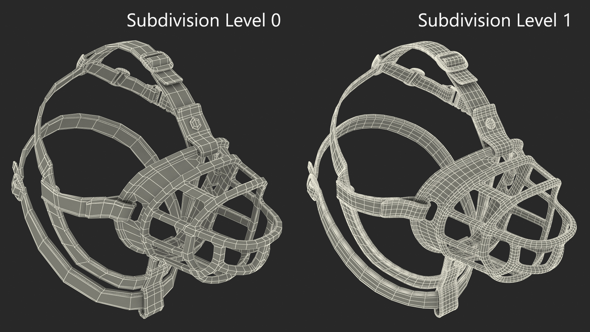 3D Baskerville Muzzle for Husky model