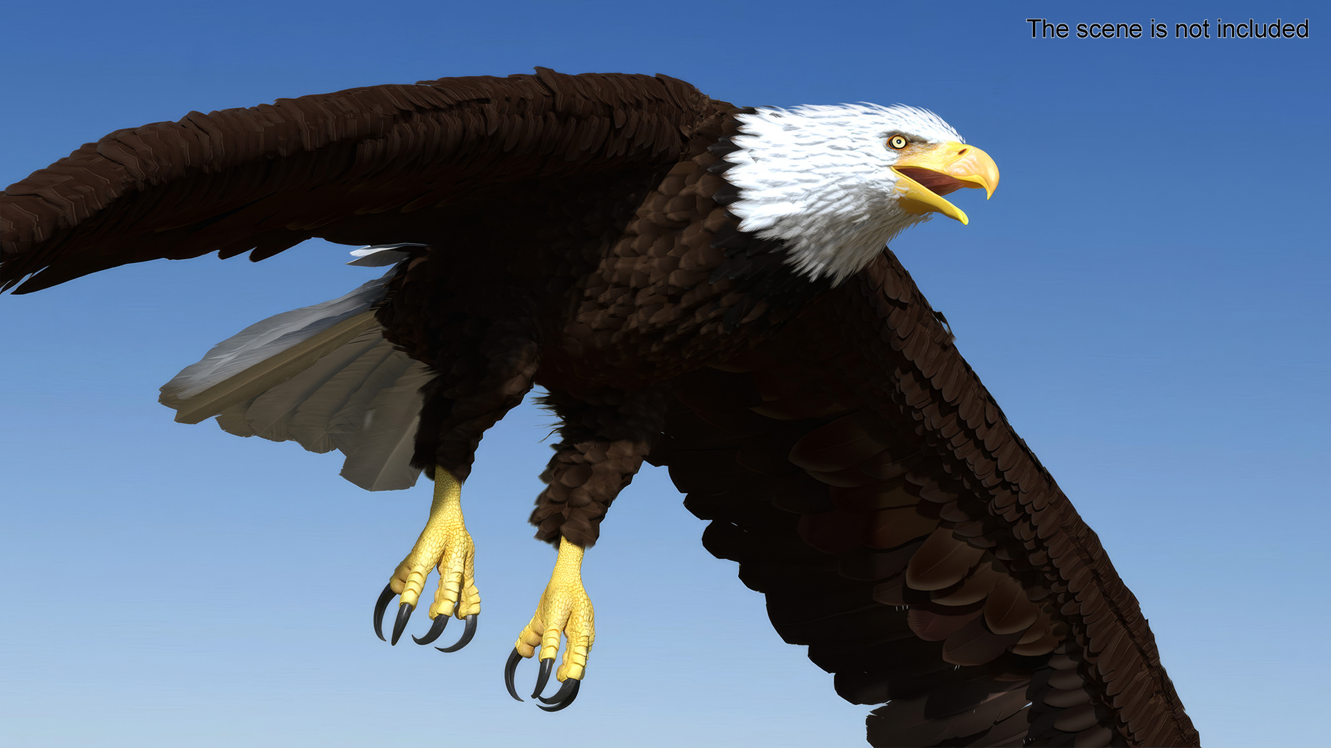 Realistic Flying Bald Eagle 3D