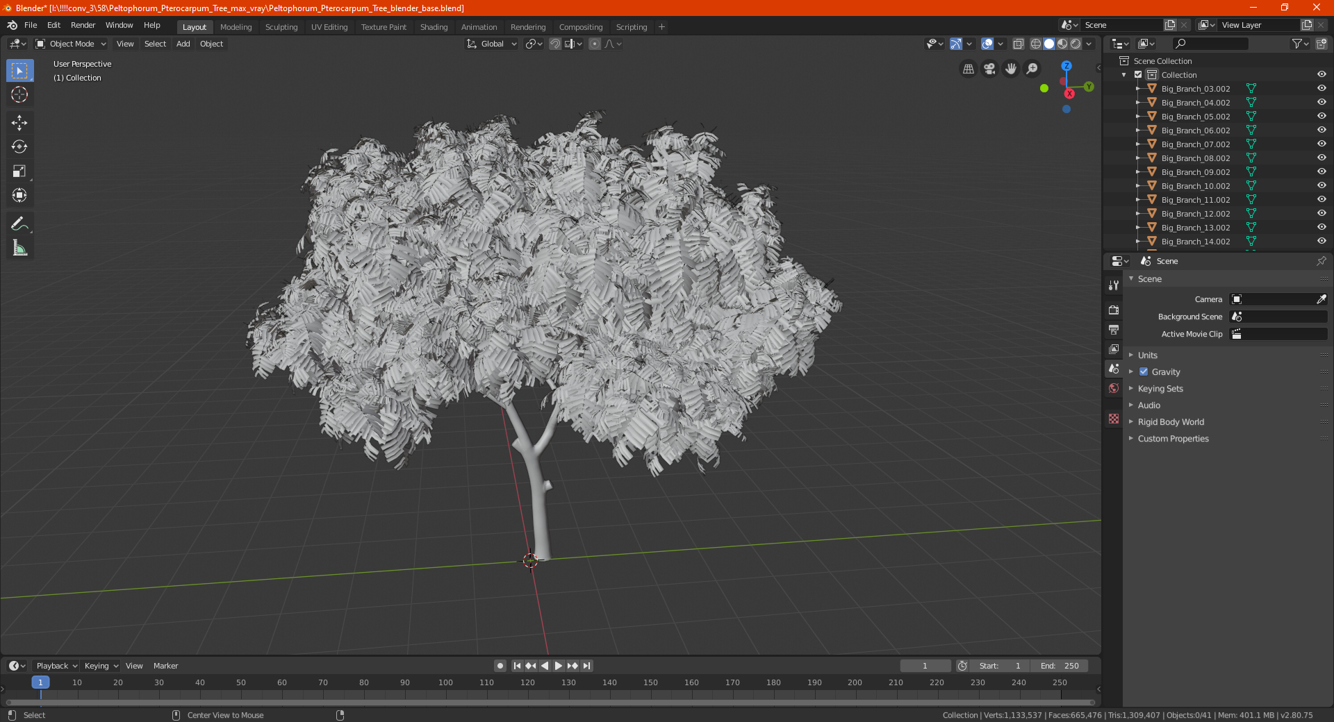 3D Peltophorum Pterocarpum Tree model