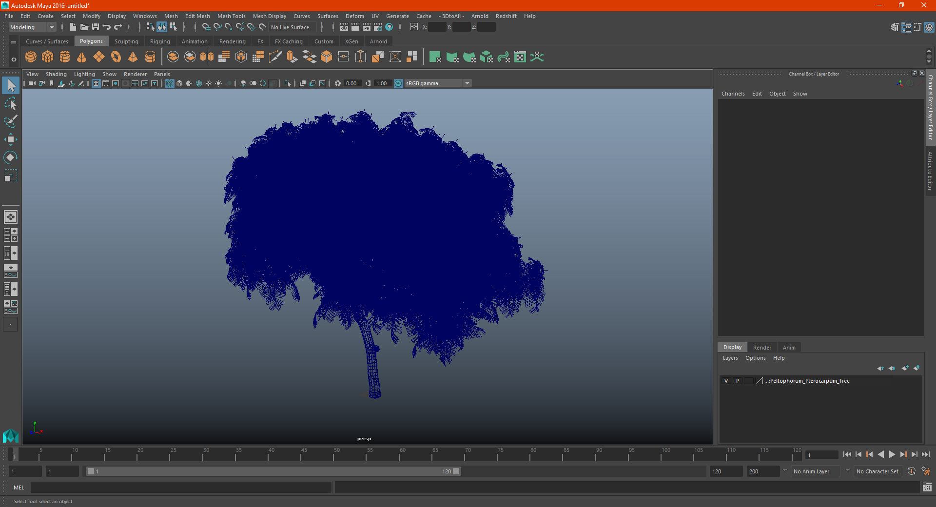 3D Peltophorum Pterocarpum Tree model