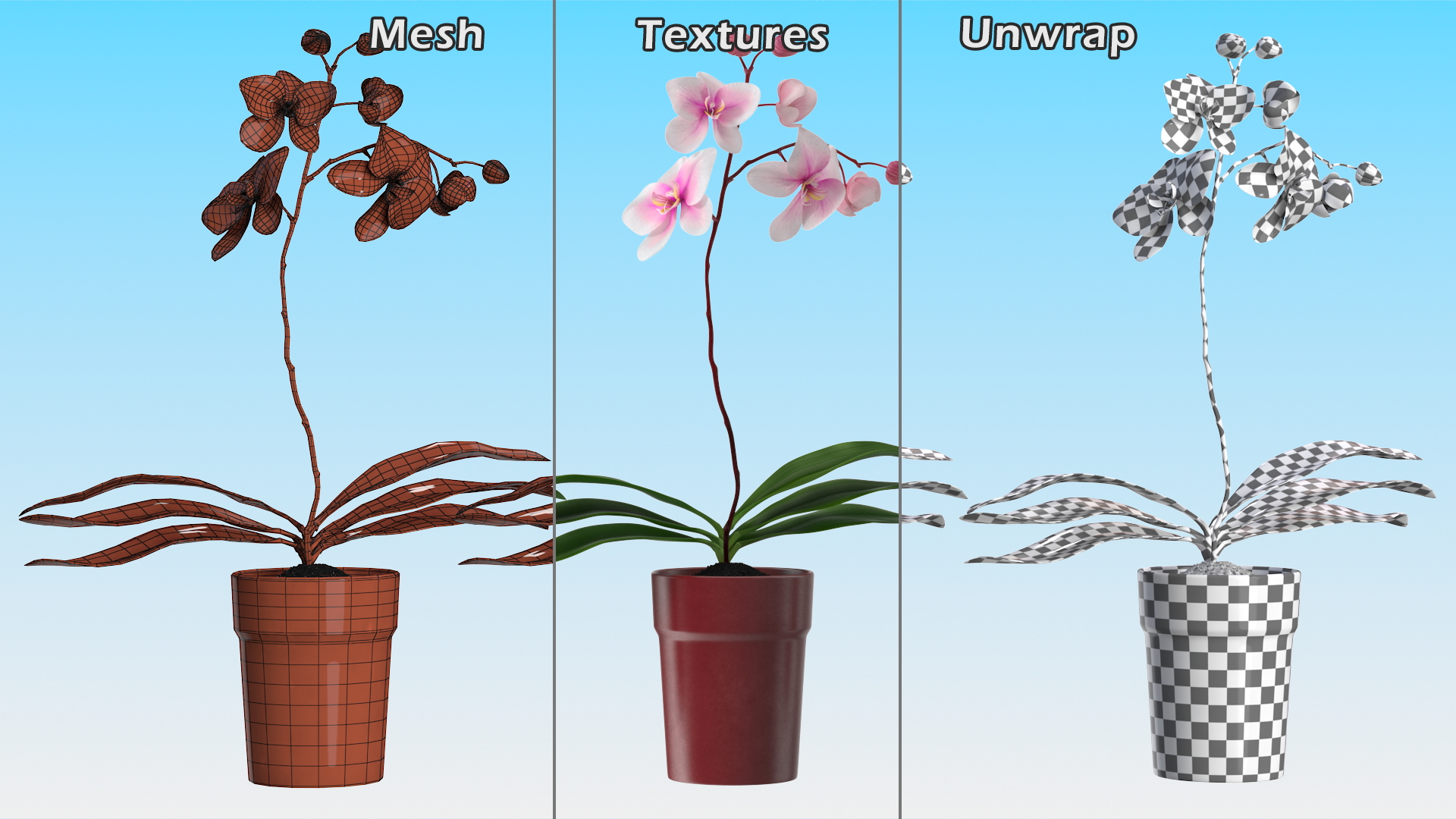 Red Pot Orchid 3D model