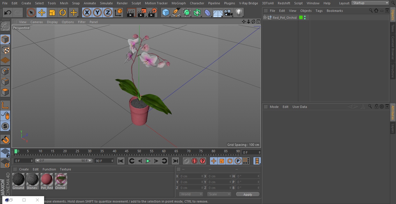 Red Pot Orchid 3D model