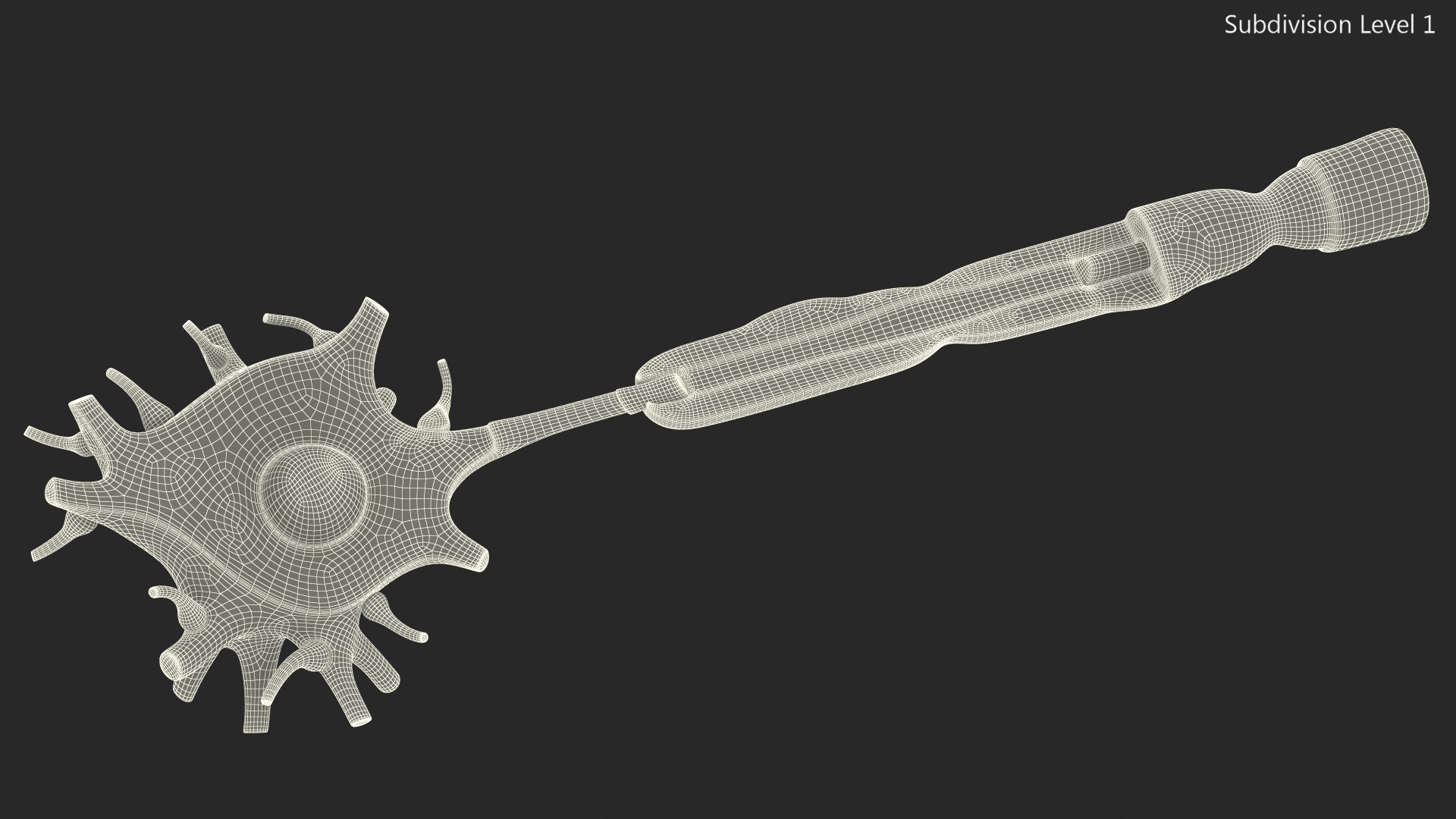 3D Human Brain Neuron Cross-Section Plastic Model