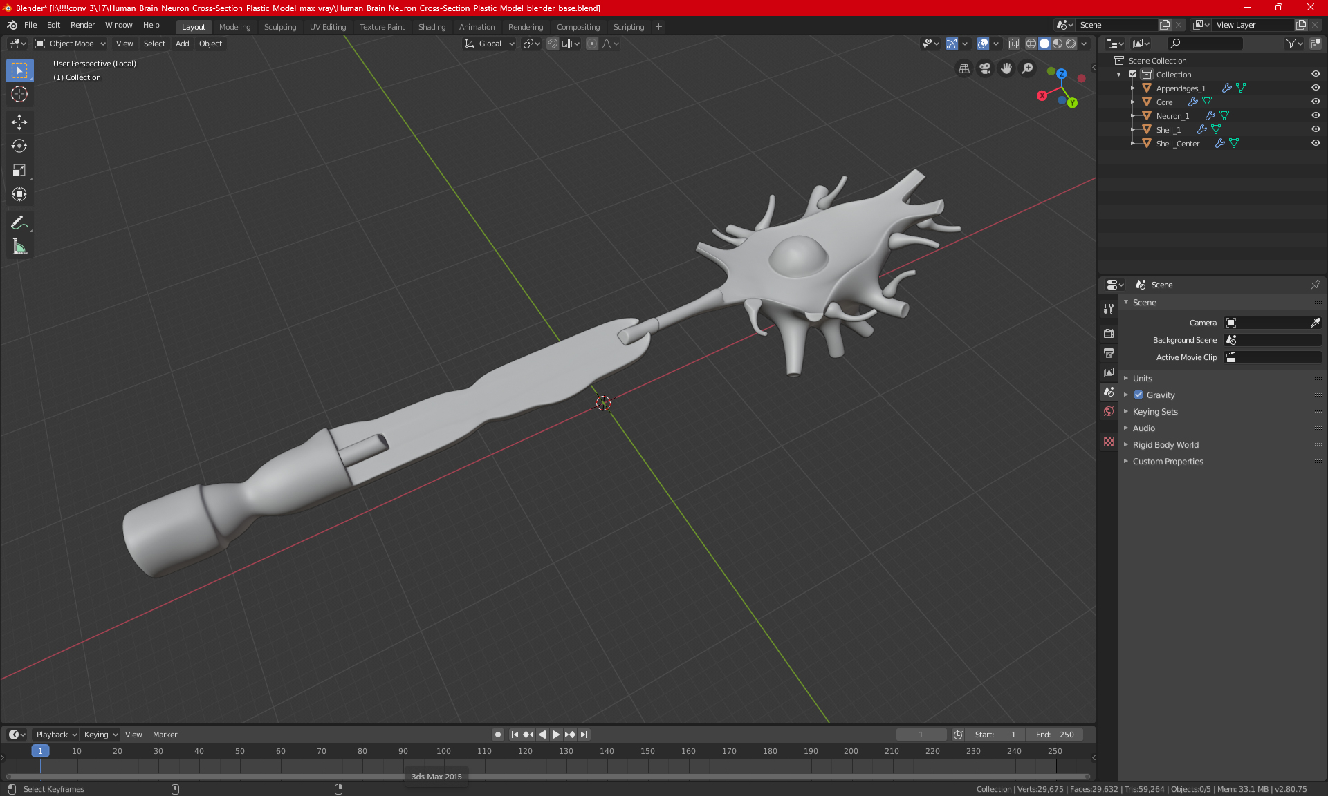 3D Human Brain Neuron Cross-Section Plastic Model