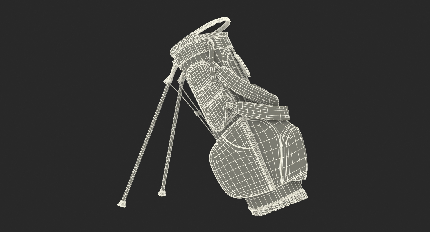 Golf Bag Seahawks 3D