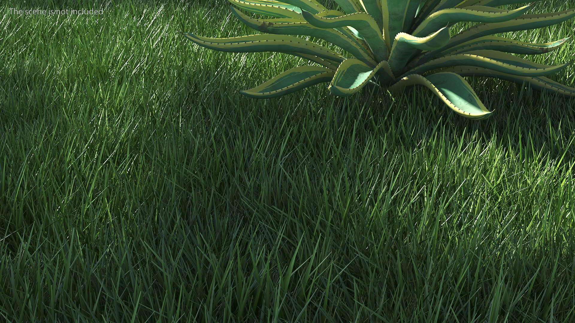 3D Realistic Grass Patch