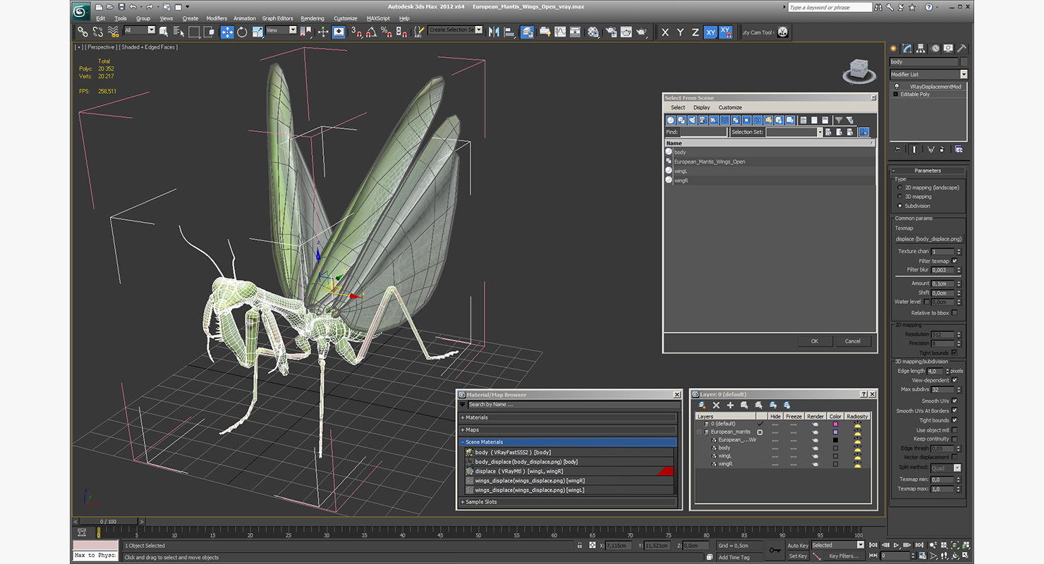 3D European Mantis Wings Open