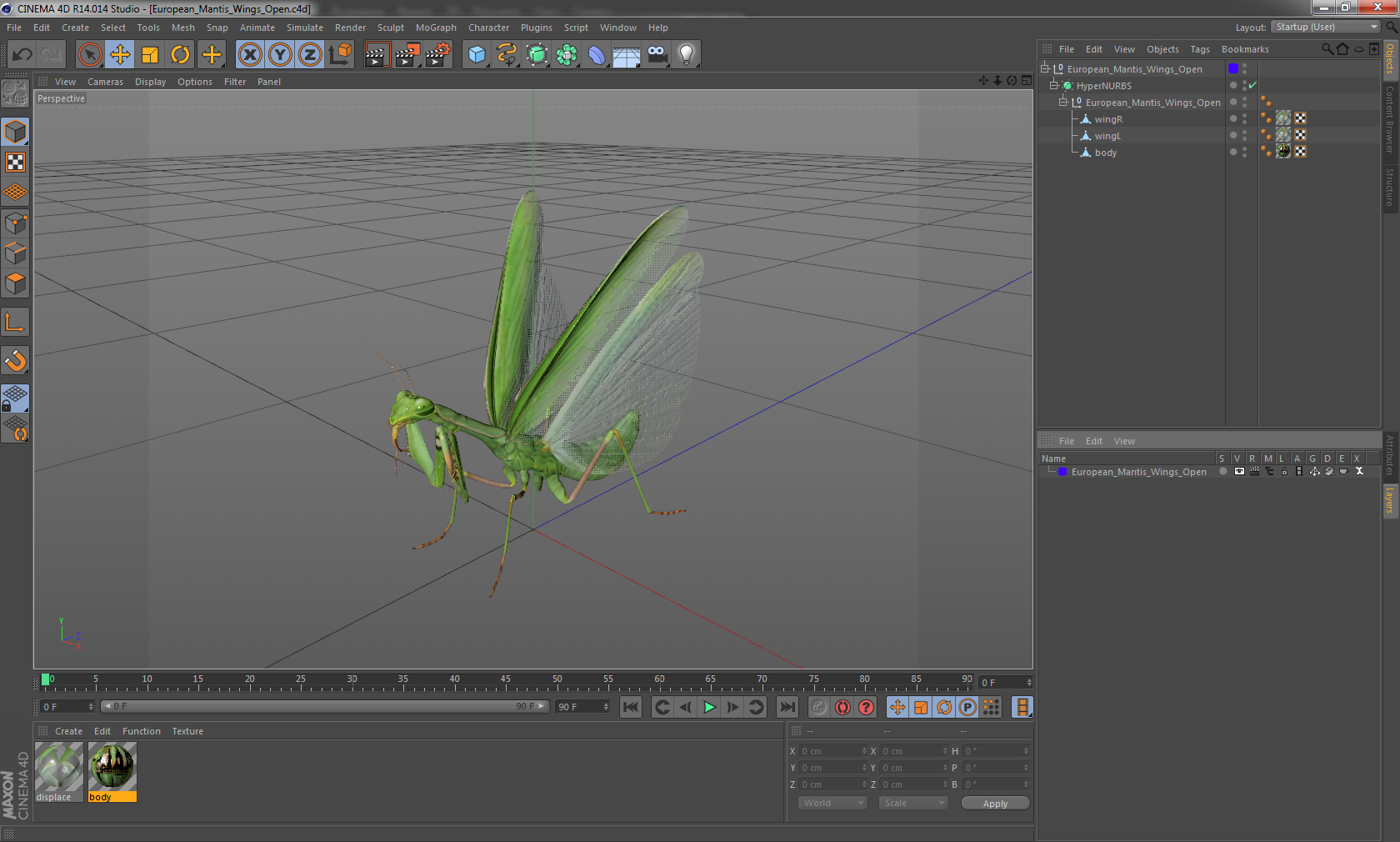 3D European Mantis Wings Open