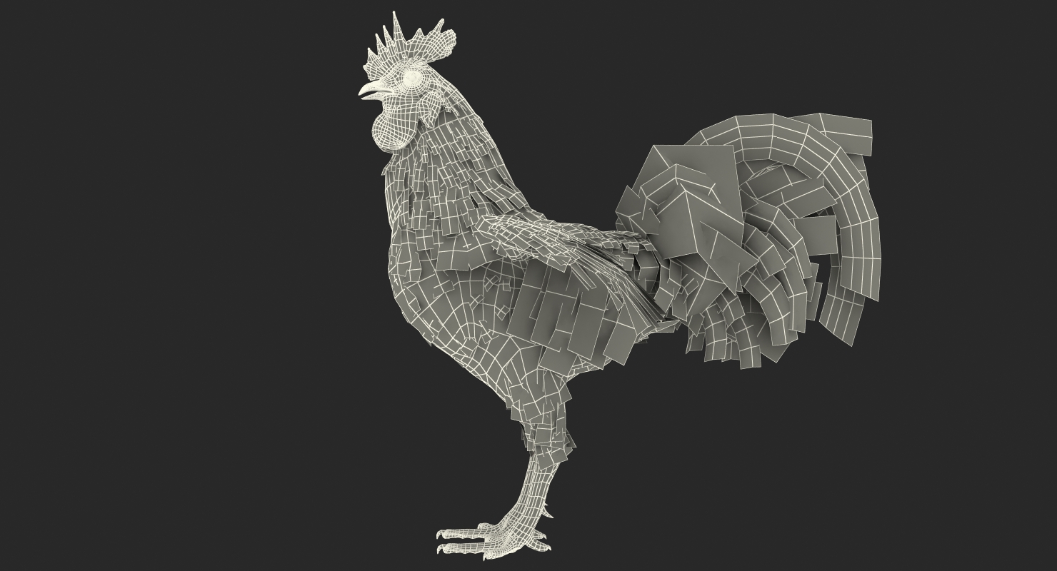 Rooster 3D model