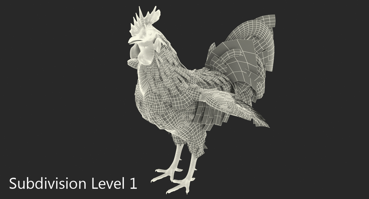 Rooster 3D model