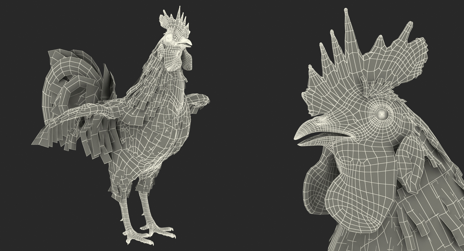 Rooster 3D model