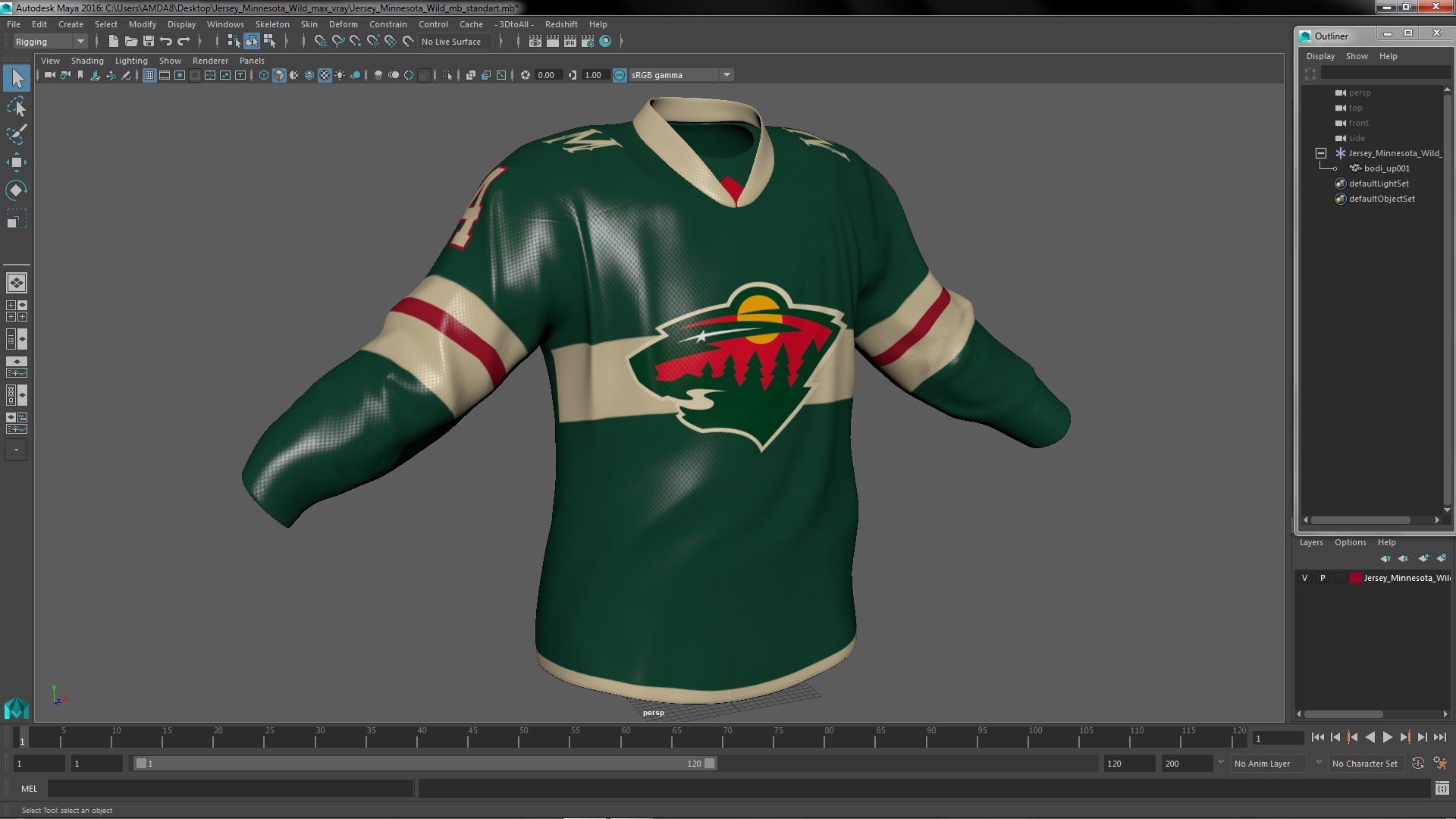 3D Jersey Minnesota Wild