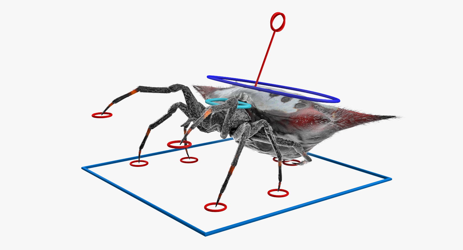 Spiny Orb Weaver Spider Rigged with Fur 3D model