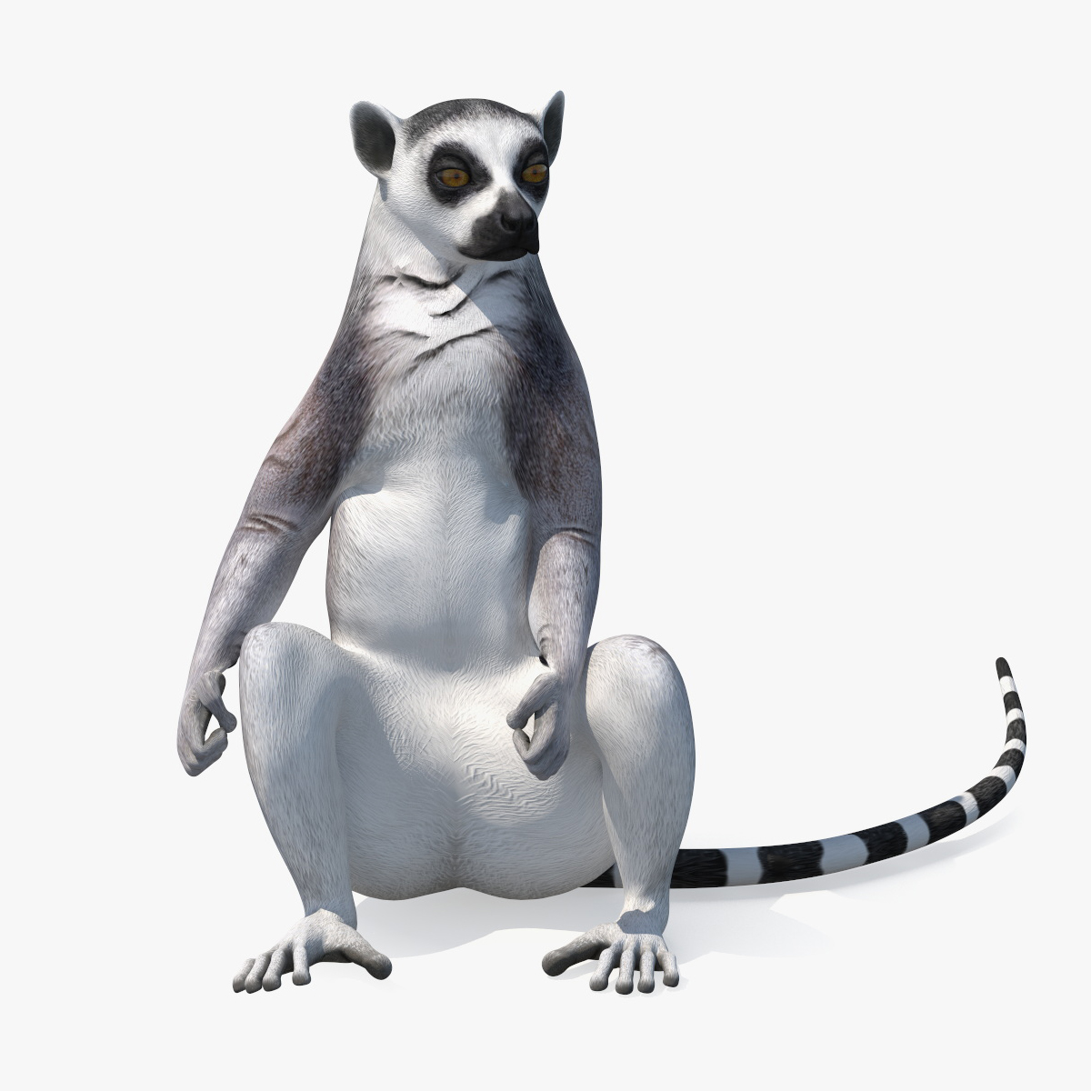 3D Lemur Rigged for Maya