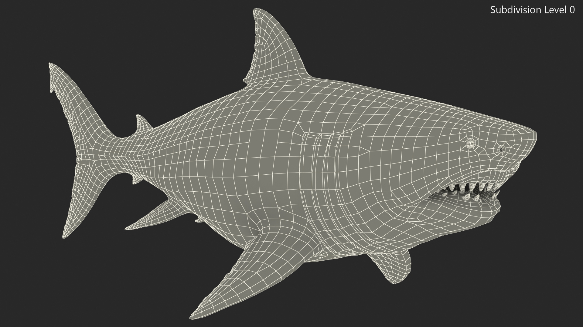 Ancient Megashark 3D