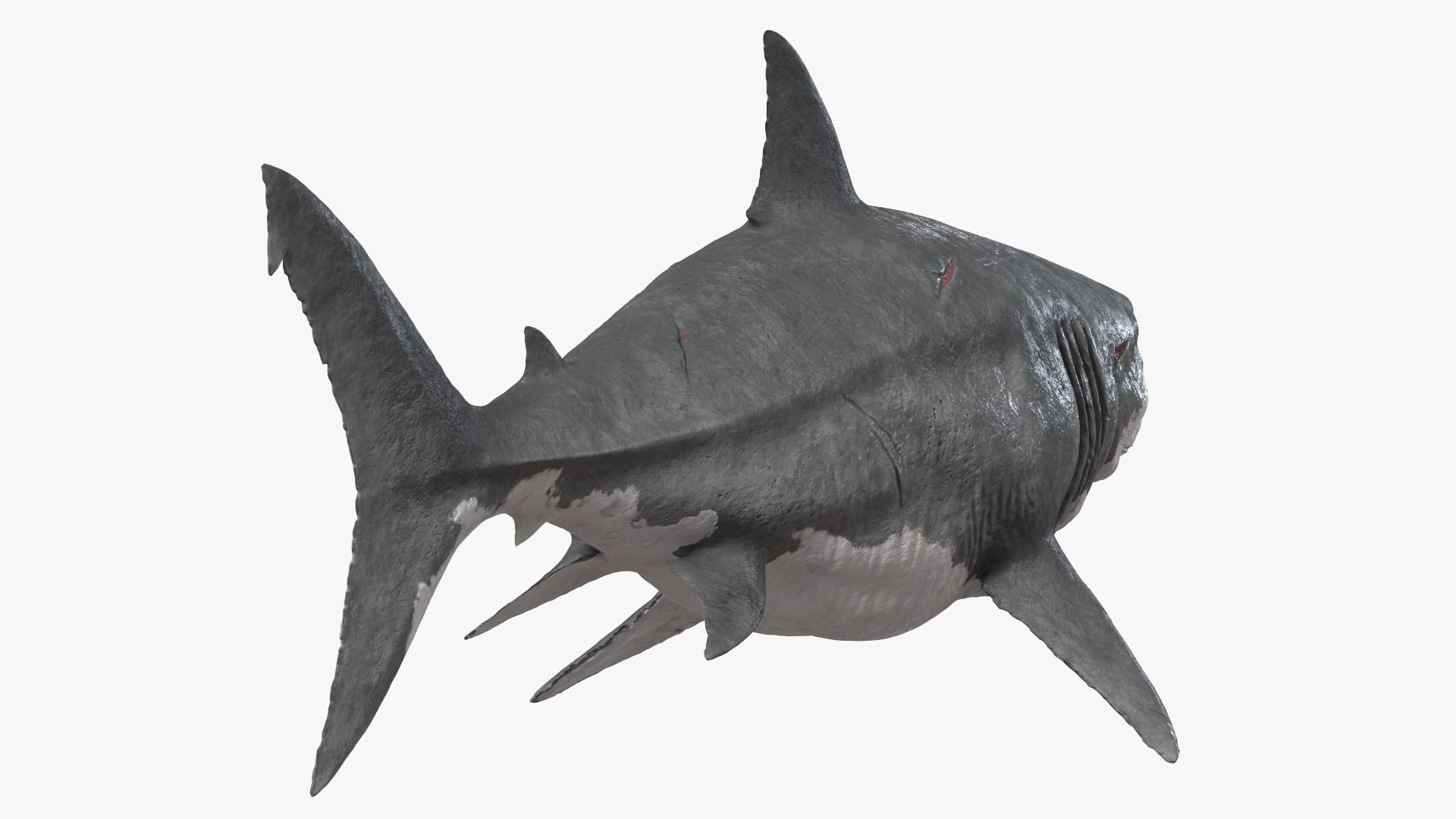 Ancient Megashark 3D