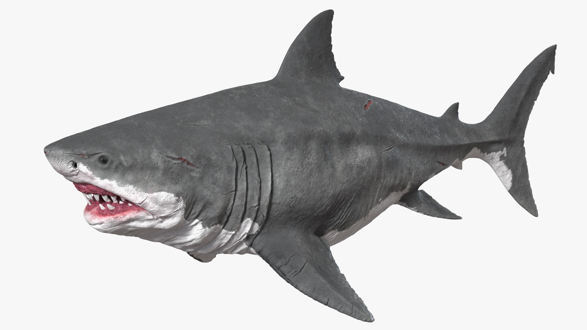 Ancient Megashark 3D