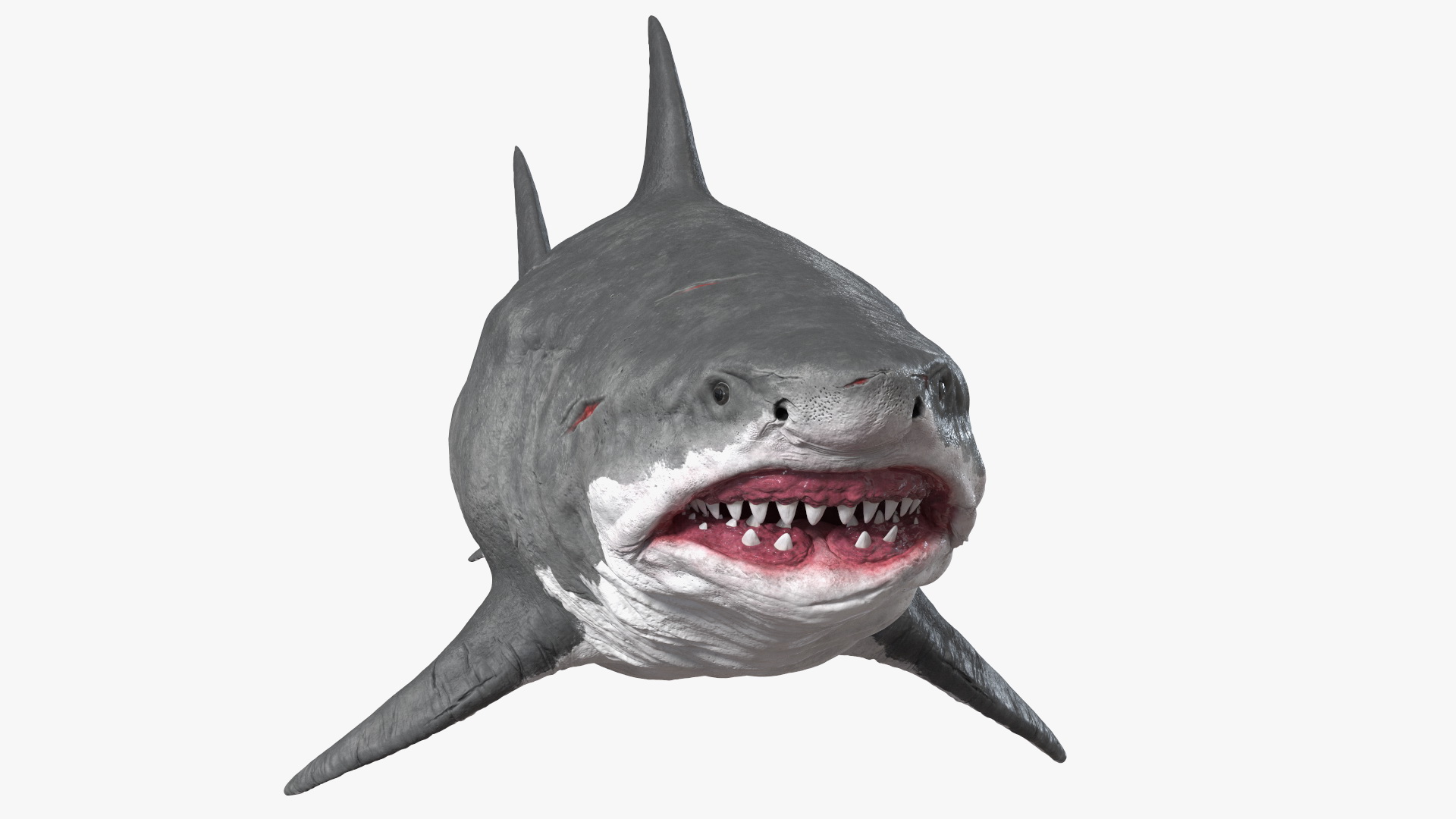 Ancient Megashark 3D