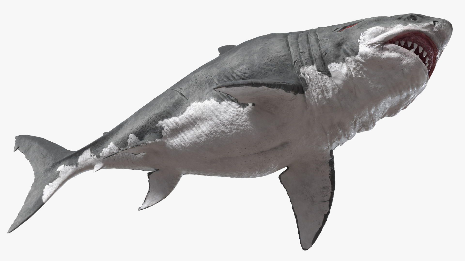 Ancient Megashark 3D