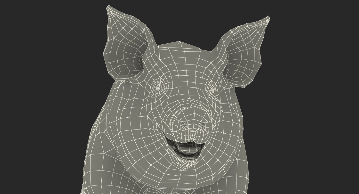 3D Pig Sow Landrace