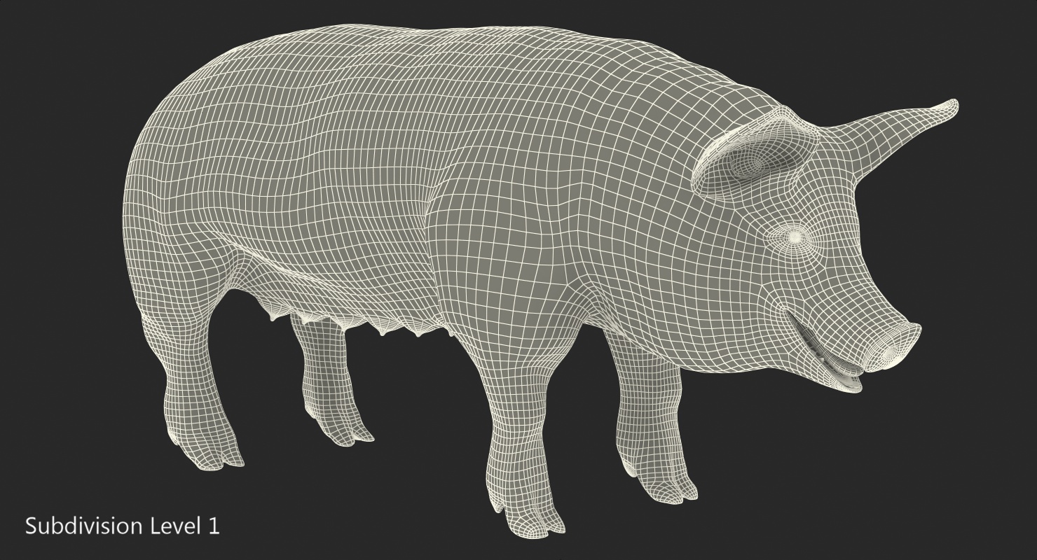 3D Pig Sow Landrace