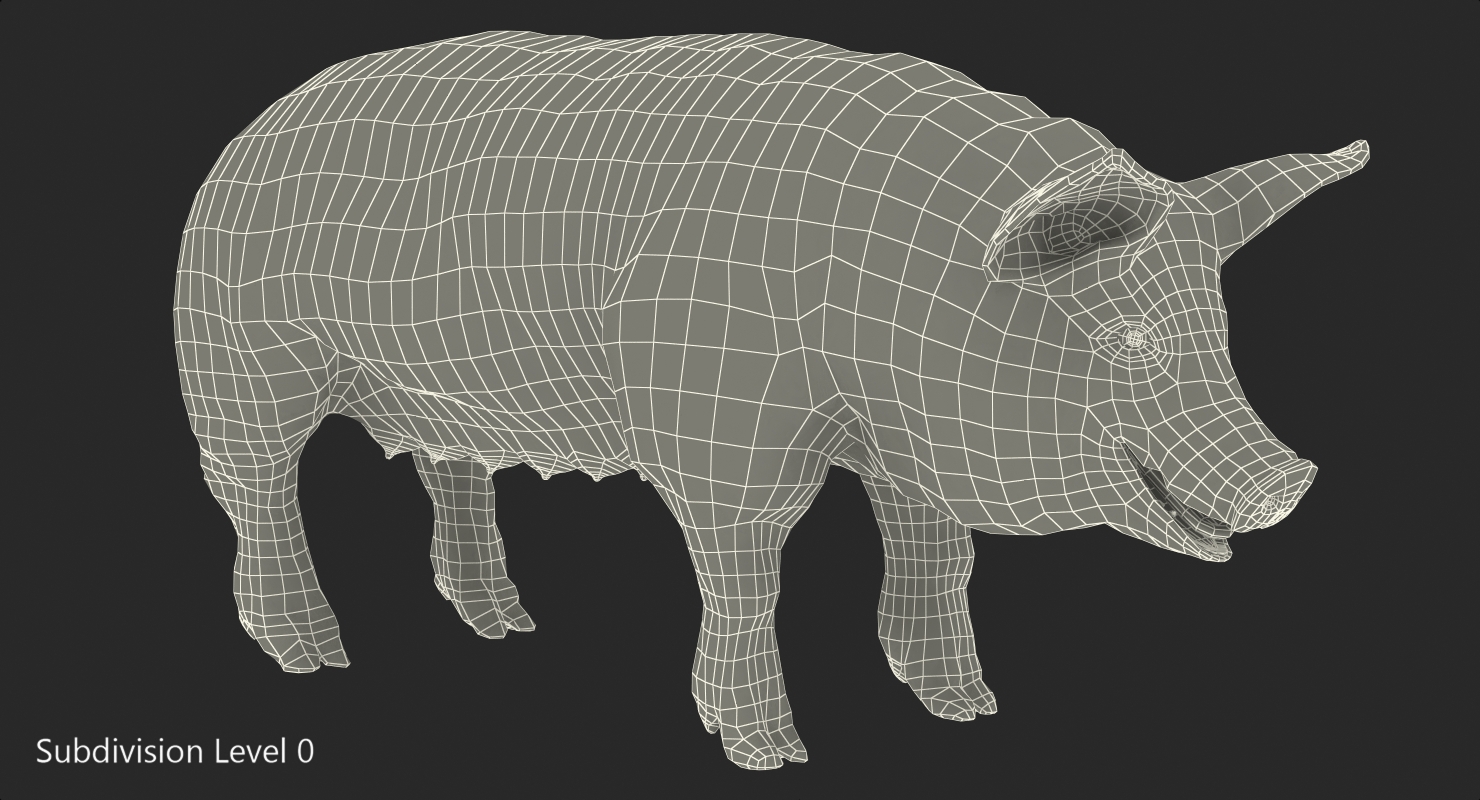 3D Pig Sow Landrace